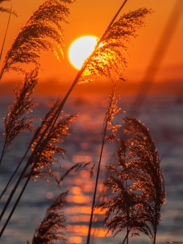 закат осенний