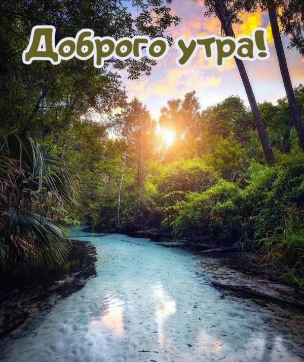 доброго утра природа
