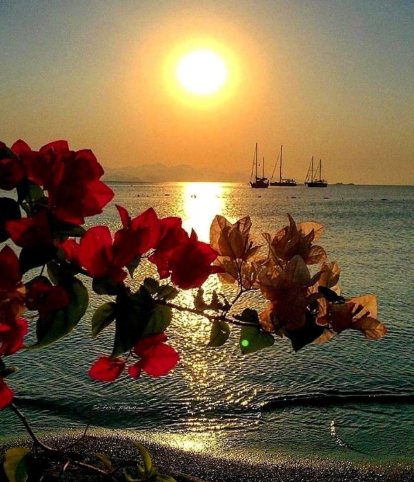 красивого летнего вечера