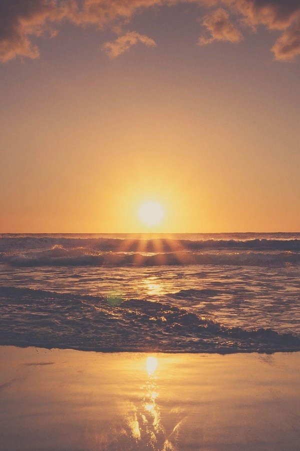 рассветное солнце