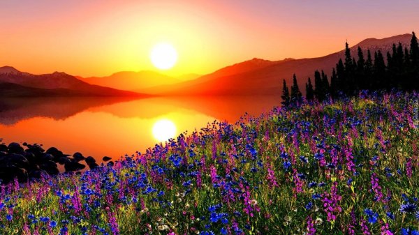 восход солнца