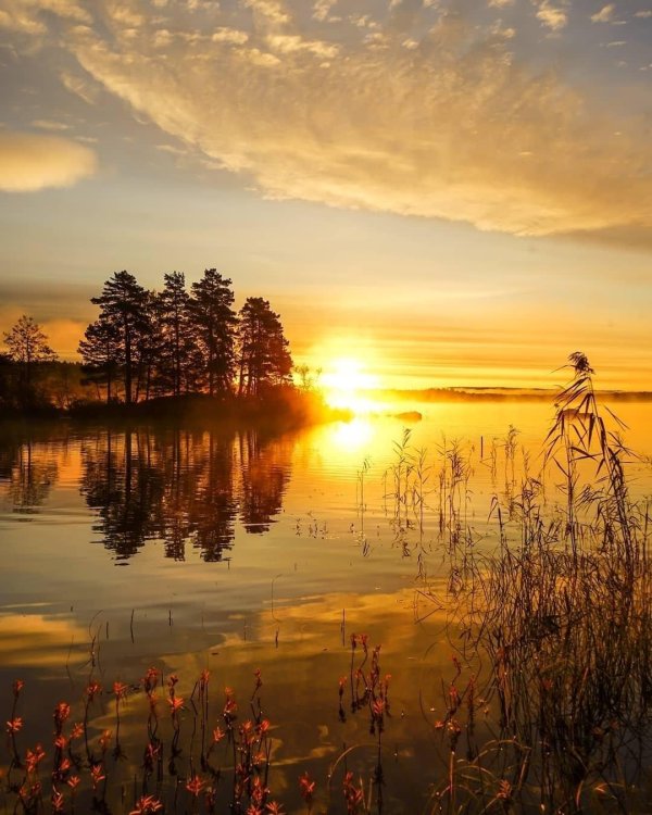рассвет над озером