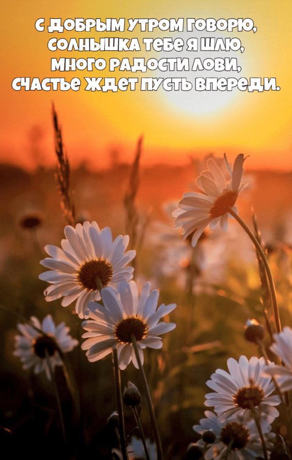 с добрым утром любимая солнышко