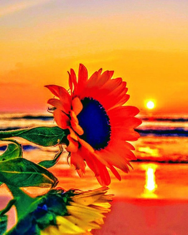 счастливых закатов и мирных рассветов