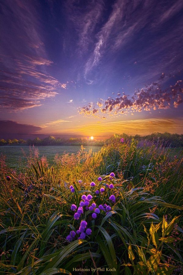 красивые рассветы