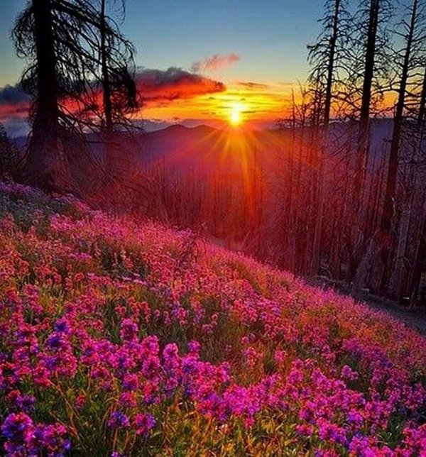 красота природа