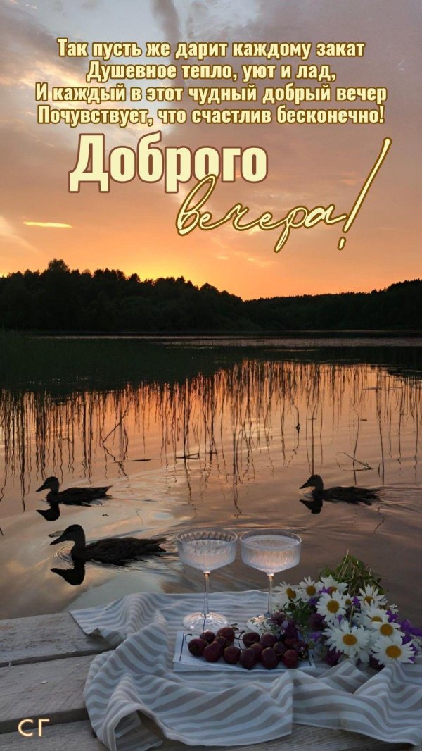 добр вечер