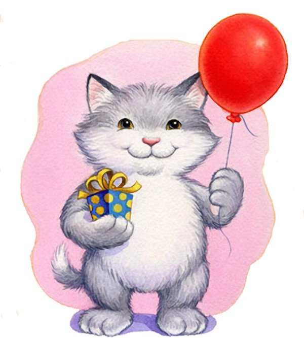 котик шарик