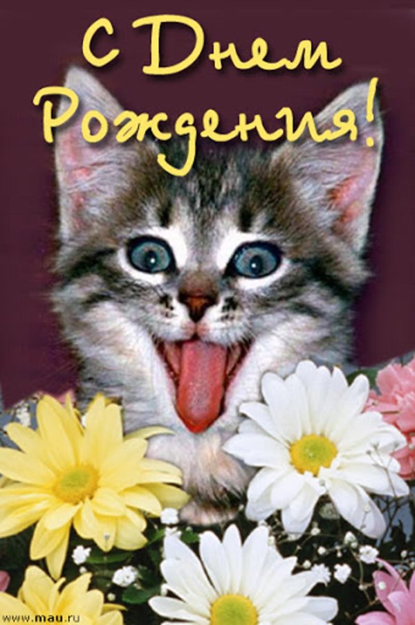 день рождение