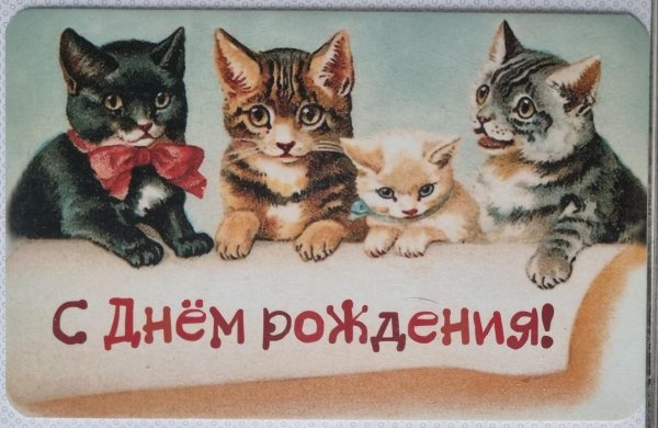 с днем рождения кошка
