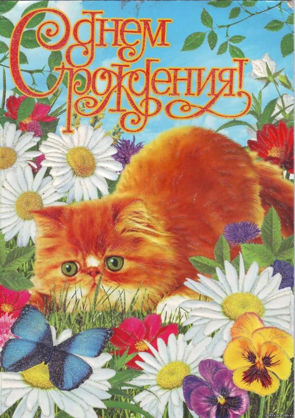 открытка с пожеланиями