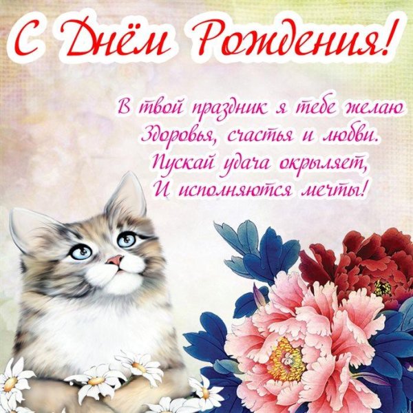 поздравление с днём рождения женщине с котиками