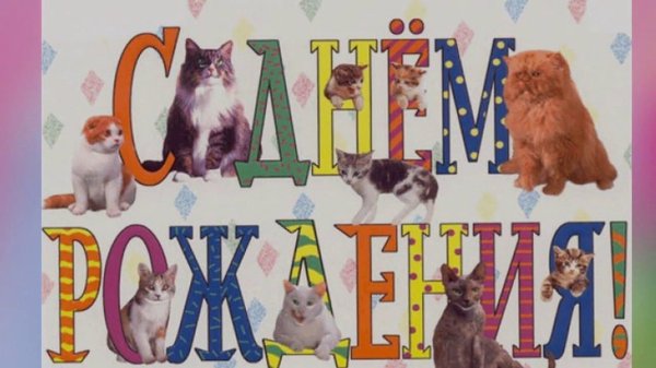 с днем рождения кошка