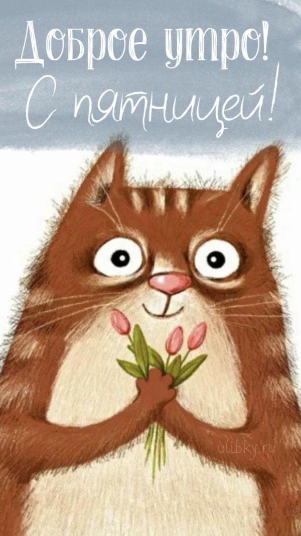 добрейшего утра пятницы