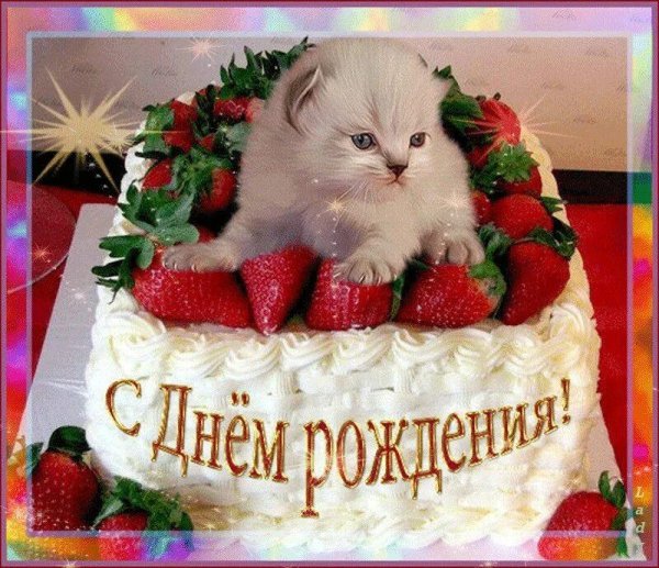 день рождение