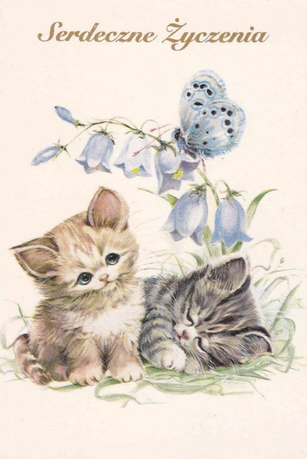 котенок иллюстрация