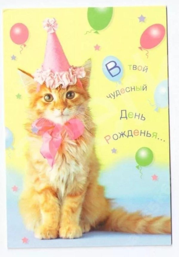 с днем рождения кошка