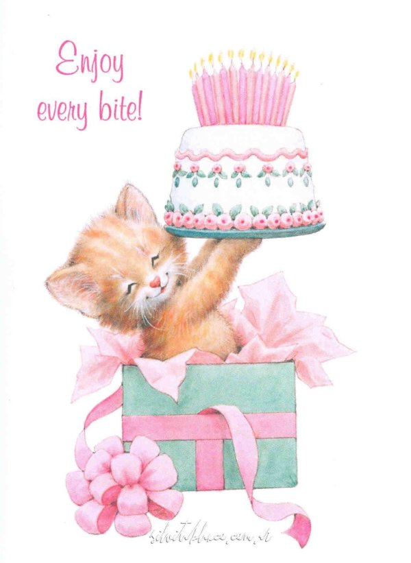 котики с днем рождения