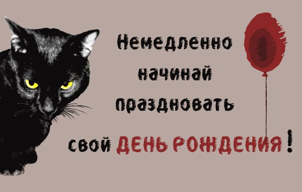 поздравление с котом