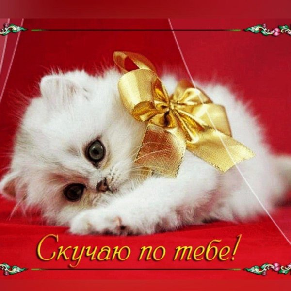 скучаю по тебе для девушки