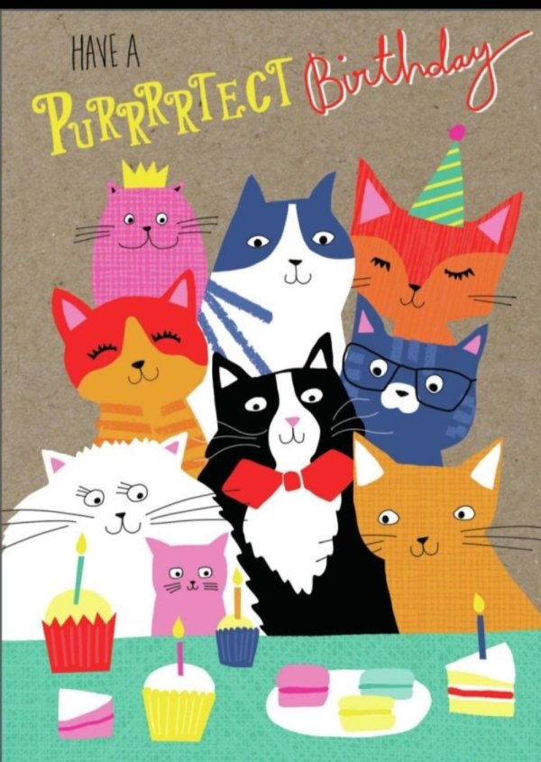 с днем рождения кошка