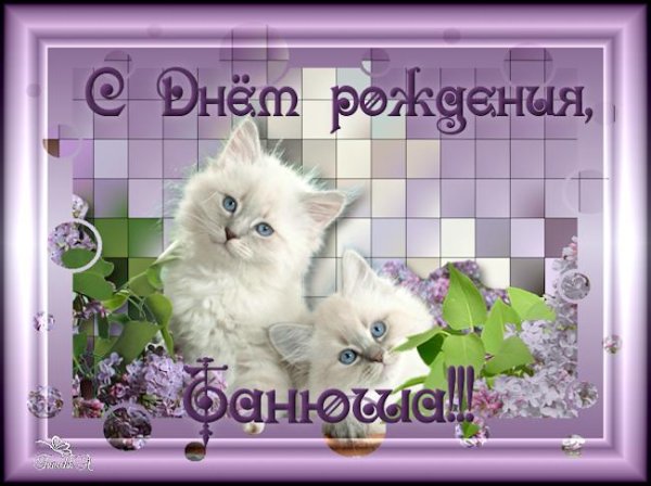 с днём рождения красивые открытки с котиками