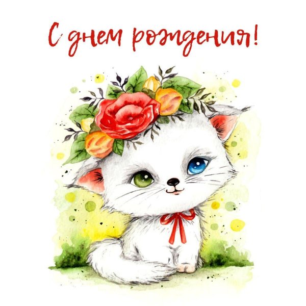 с днем рождения кошечка