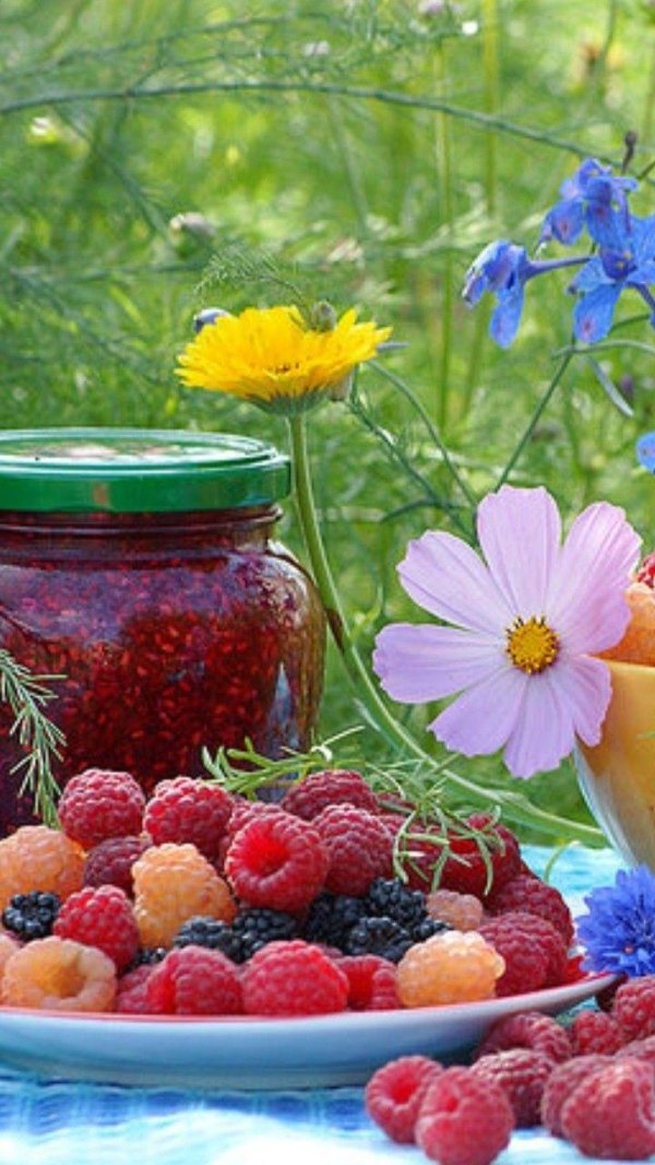 добрый день фрукты