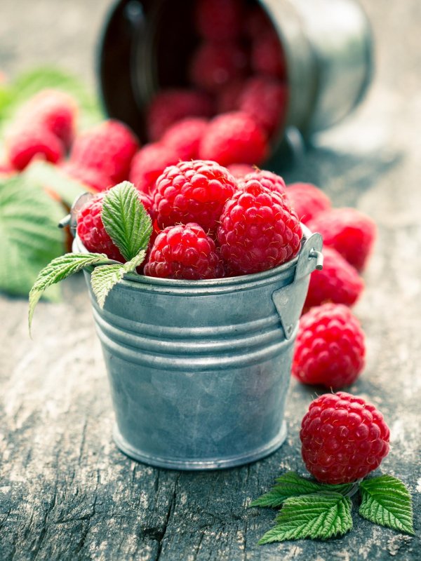 красивые ягоды