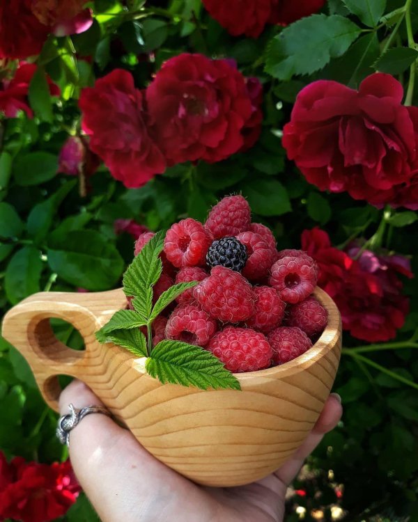 малина и цветы