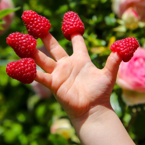 детские ладони