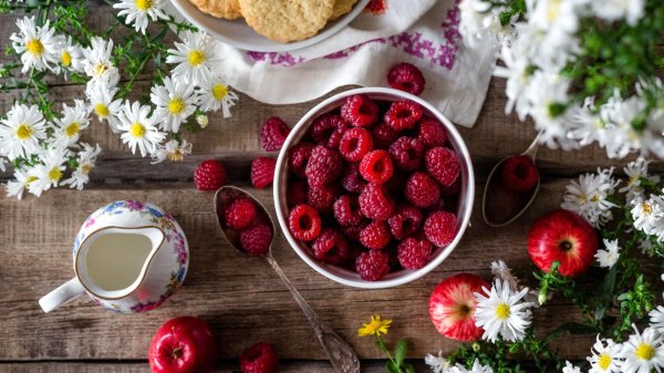 летнего утра