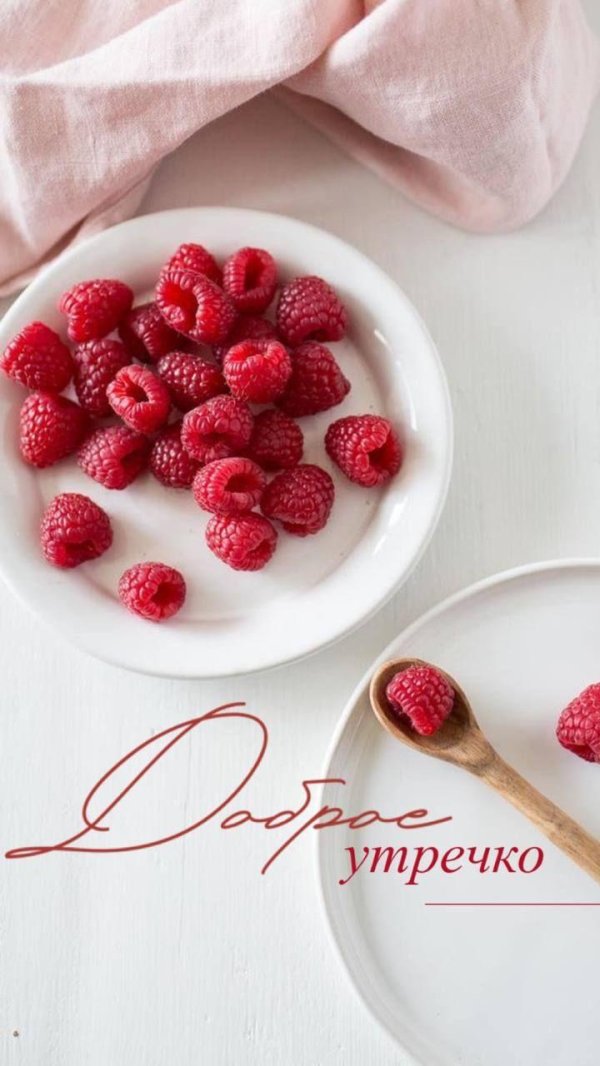 малина ягода