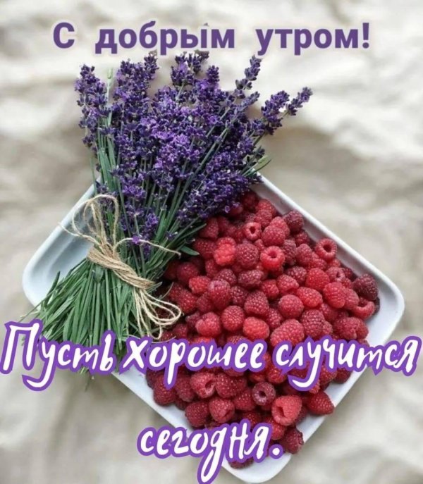 добра утра