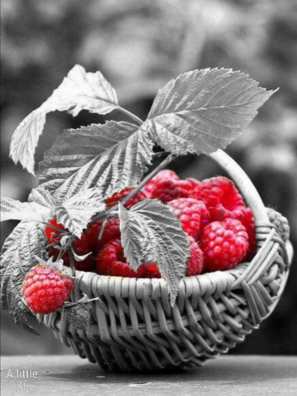 доброго августовского утра