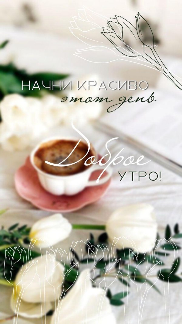 красивого утра