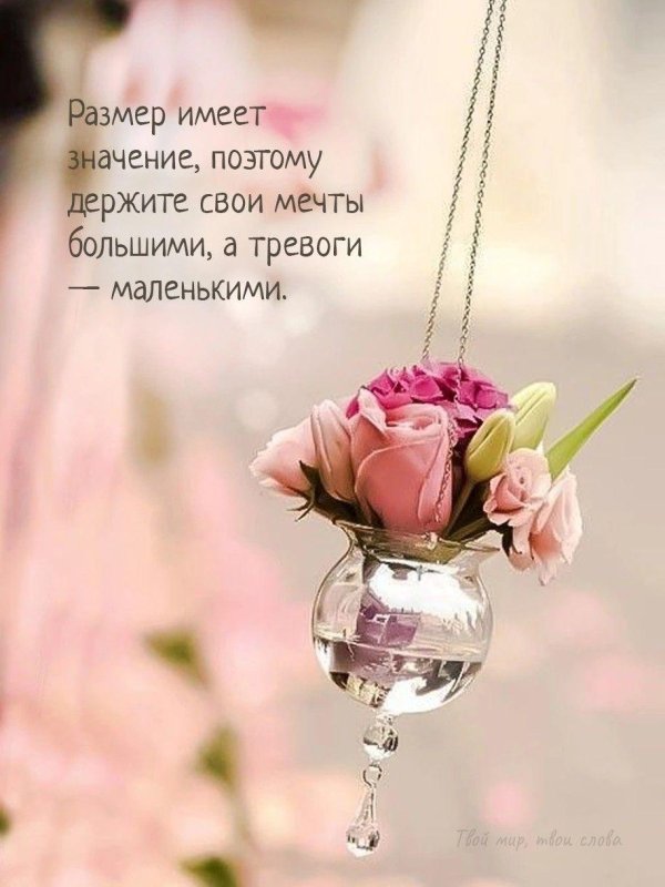 красивая цветок