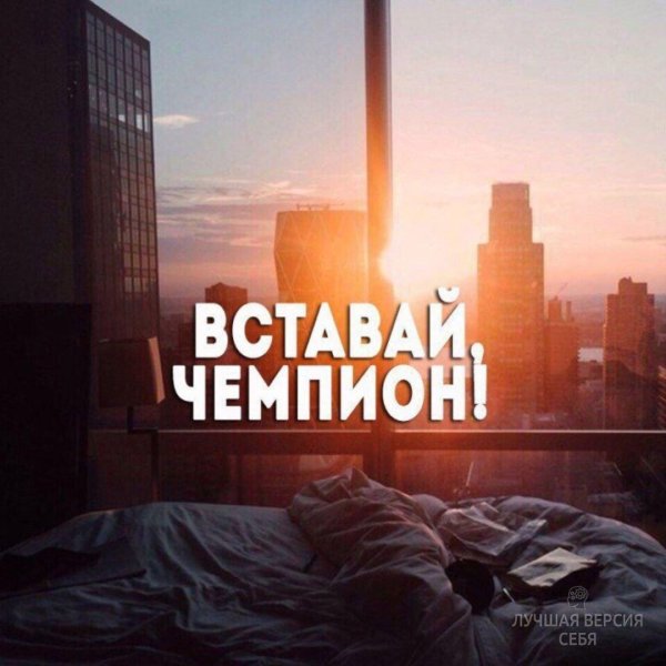 вставай чемпион