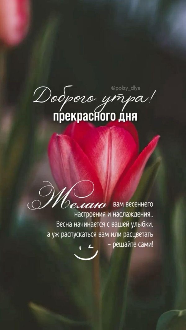 добрейшего весеннего утра