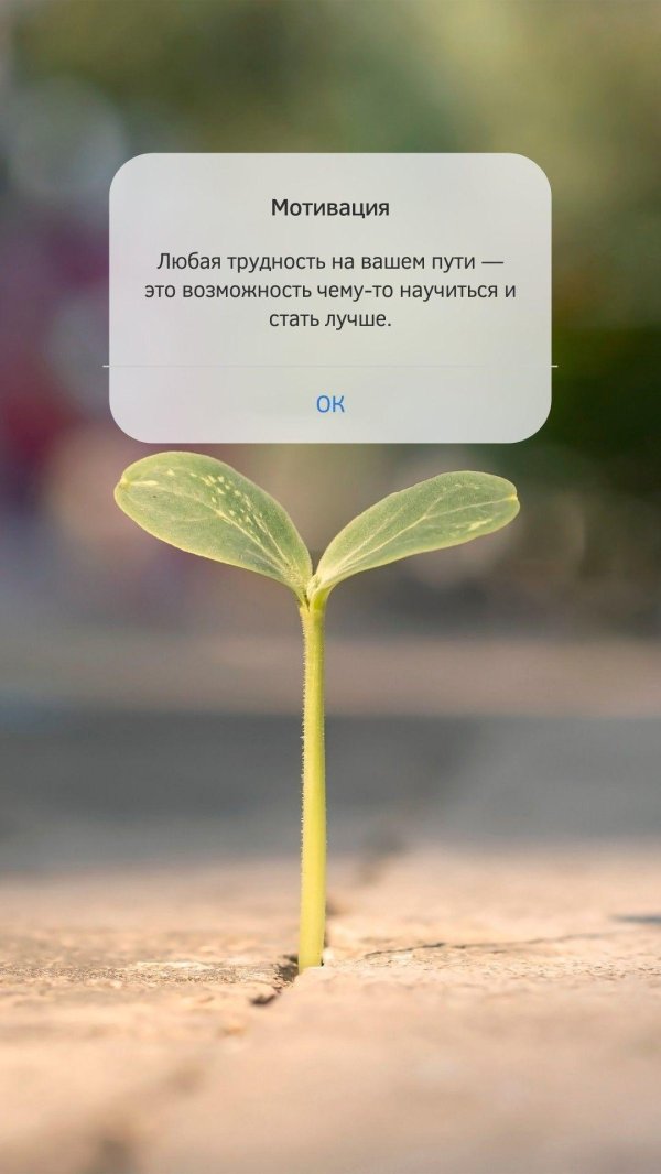 ростки арбуза