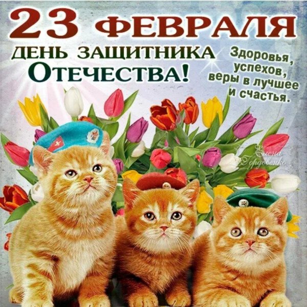 с днем защитника отечества котик