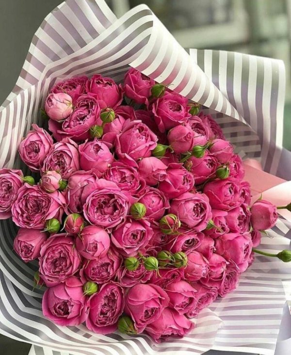 монобукет пионовидные розы