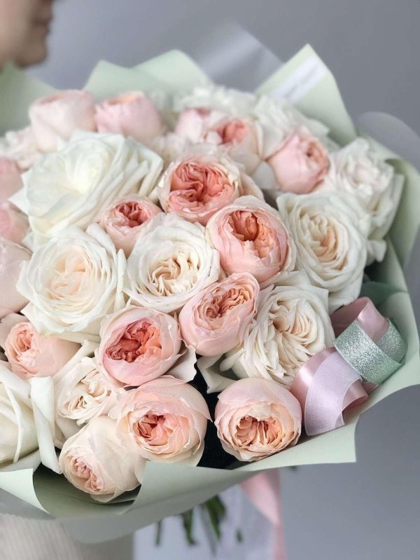 вайт охара пионовидная