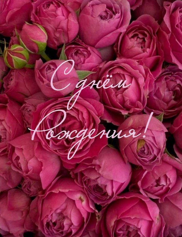 поздравление с день рождения женщине