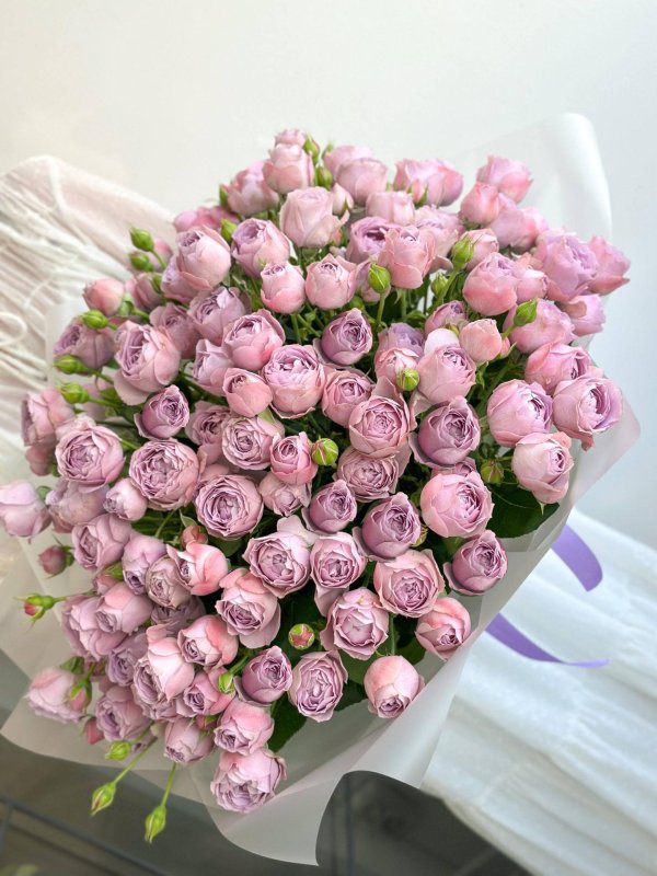 роза лавендер баблс