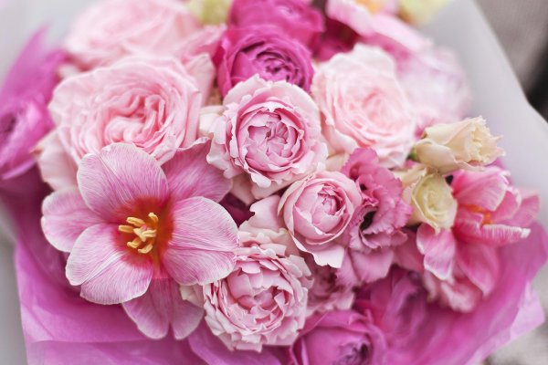 с днем рождения пионы красивые