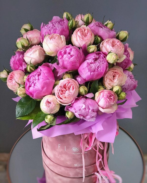 пион пурпл скай