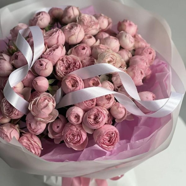 мэнсфилд парк роза кустовая