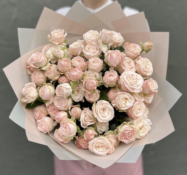 кустовая роза бомбастик