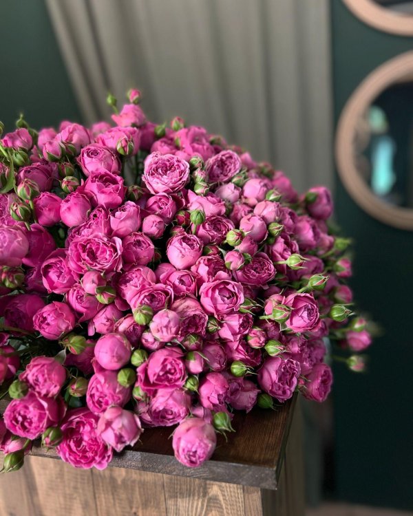 роза мисти бабблз